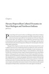 Vol. 2 Ch. 2 Havana-Hopewellian Cultural Dynamics in West Michigan and Northwest Indiana by Jeff Chivis