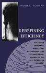 Redefining Efficiency: Pollution Concerns, Regulatory Mechanis