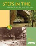Steps in Time: Ninety Years of Metro Parks, Serving Summit County by Sarah Vradenburg
